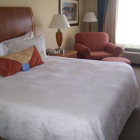 Hilton Garden Inn Albany Exterior photo