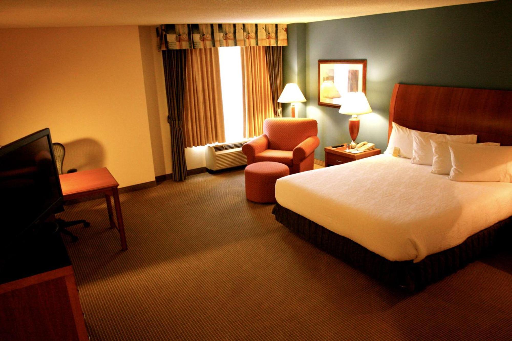 Hilton Garden Inn Albany Exterior photo
