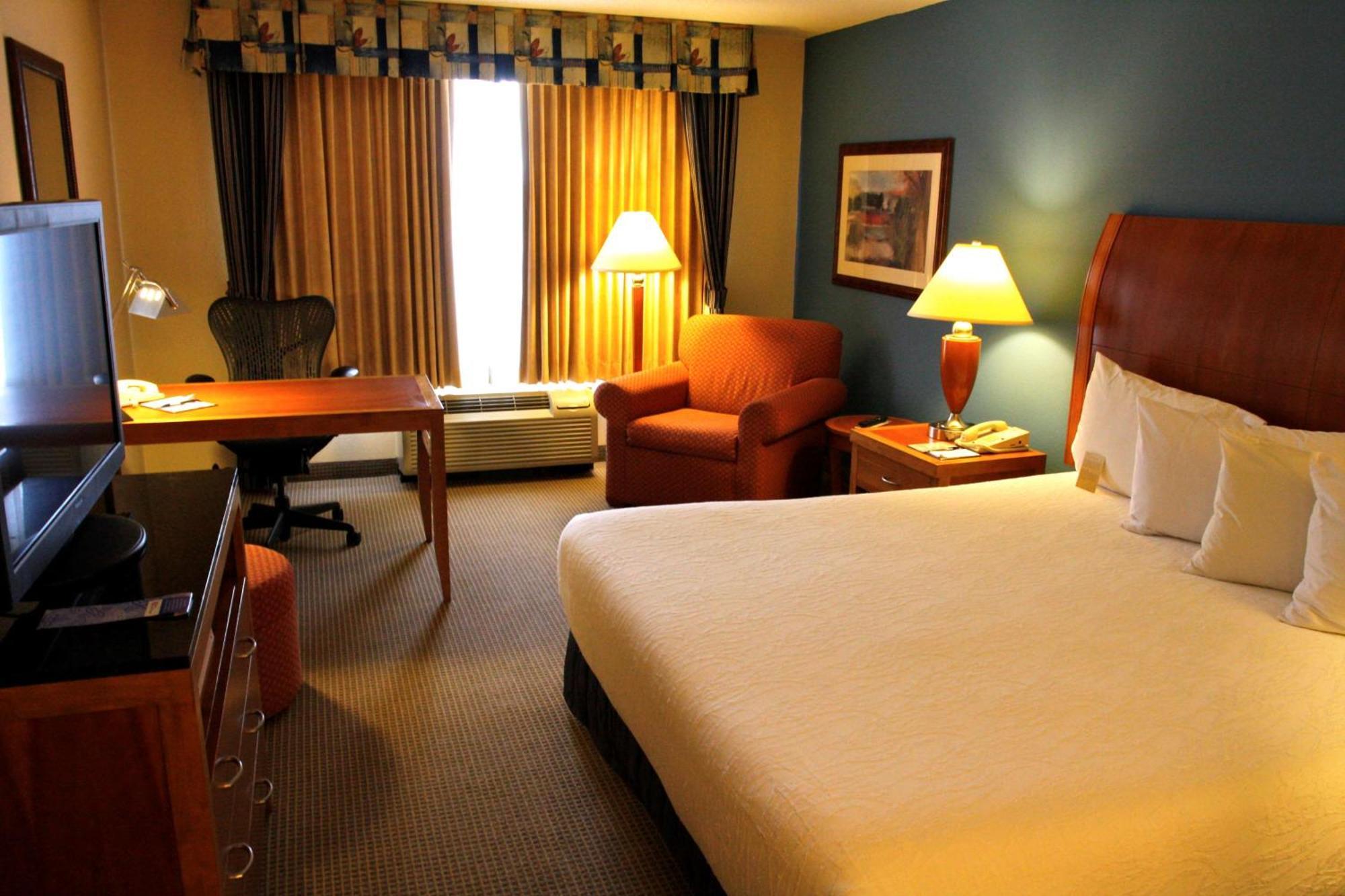 Hilton Garden Inn Albany Exterior photo